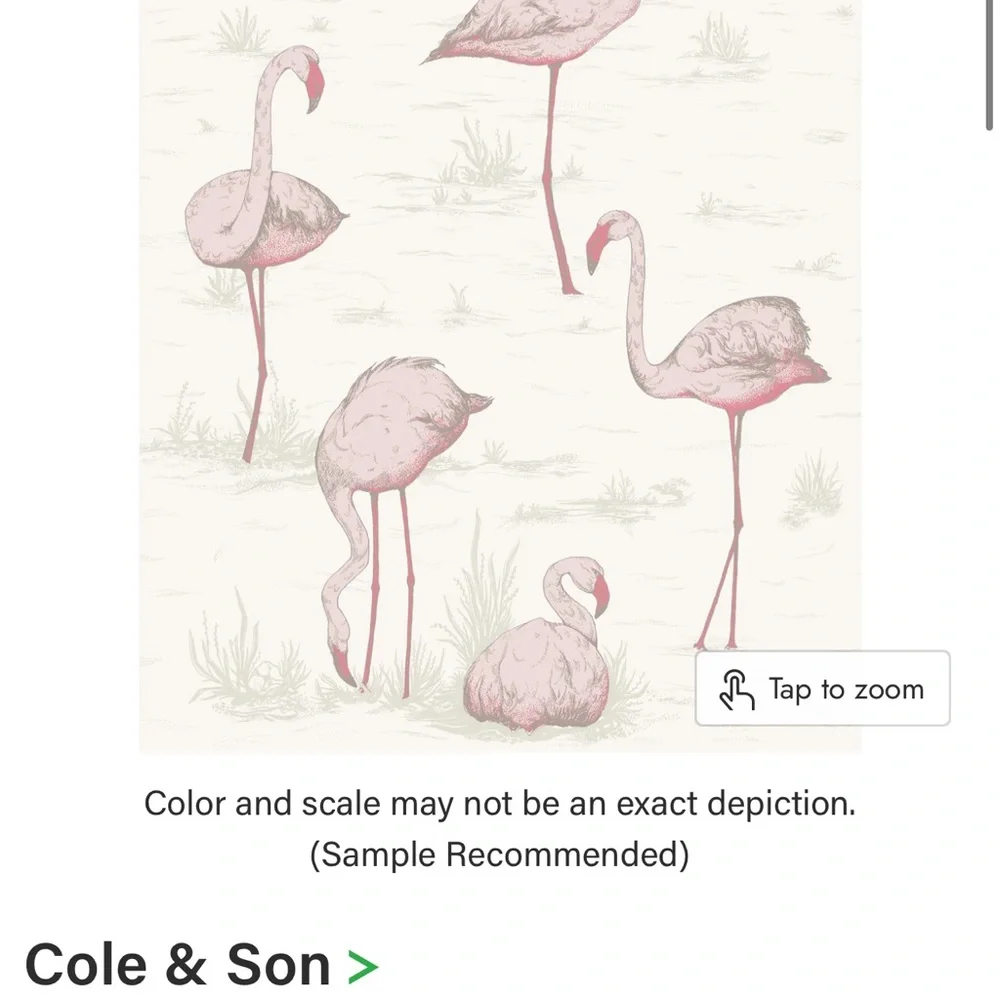 Cole and Sons Flamingo wallpaper